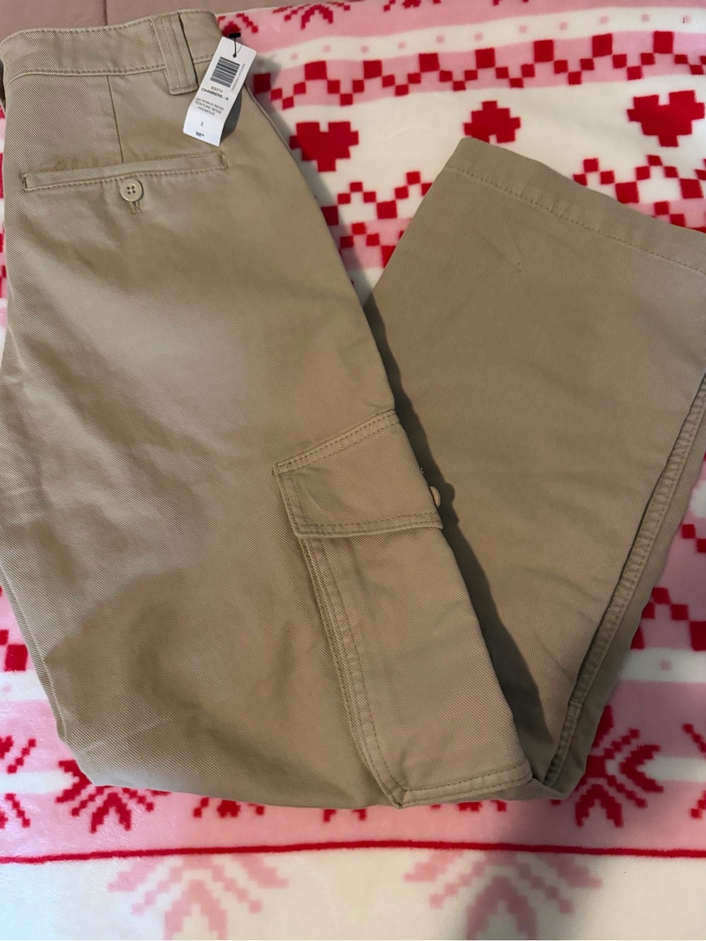 Aritzia Women's Tan Cargo Track Pants